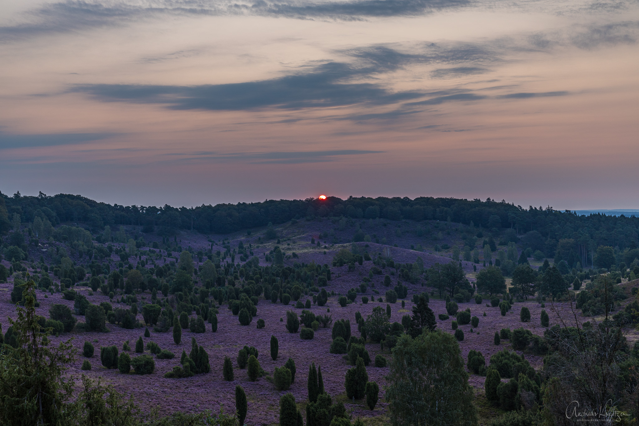 Lueneburger_Heide_081A3262.jpg