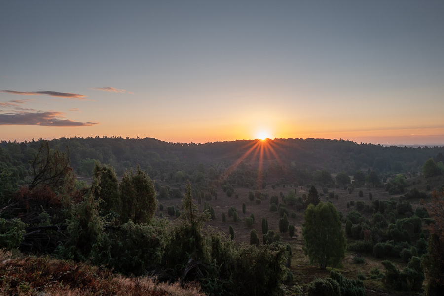 Sonnenaufgang am Totengrund in der Lüneburger Heide L1030626.jpg