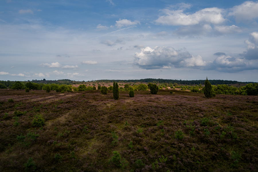 Blick von der Aussichtsplattform Fürstengrab auf die Heide L1030921.jpg