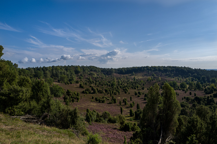 Lüneburger Heide