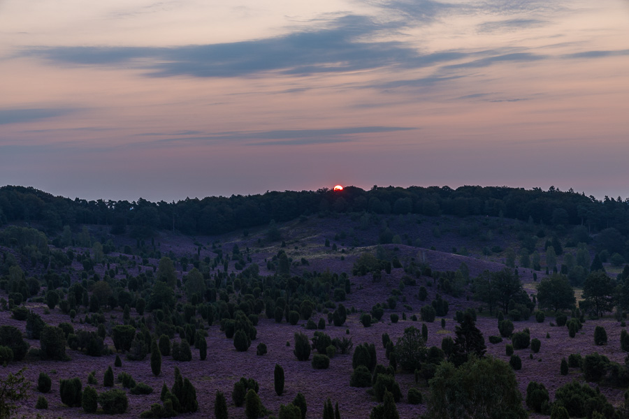 Sonnenaufgang am Totengrund in der Lüneburger Heide Lueneburger_Heide_081A3259.jpg