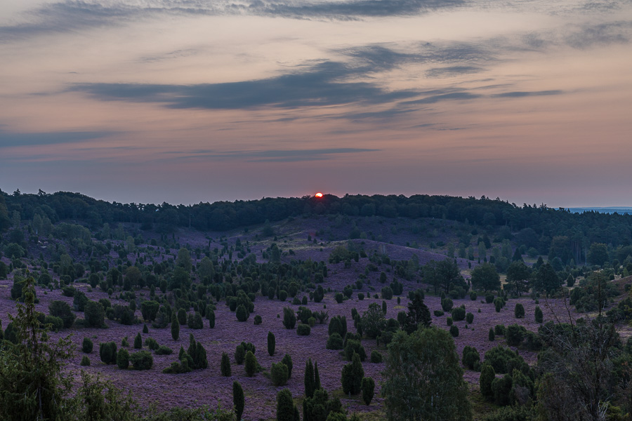 Sonnenaufgang am Totengrund in der Lüneburger Heide Lueneburger_Heide_081A3262.jpg