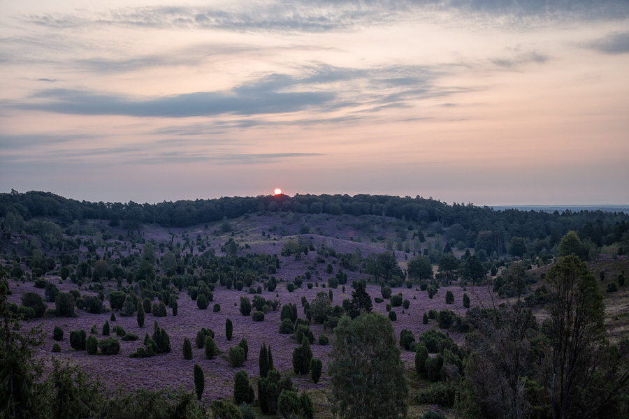 Sonnenaufgang am Totengrund in der Lüneburger Heide Lueneburger_Heide_081A3272-Bearbeitet.jpg