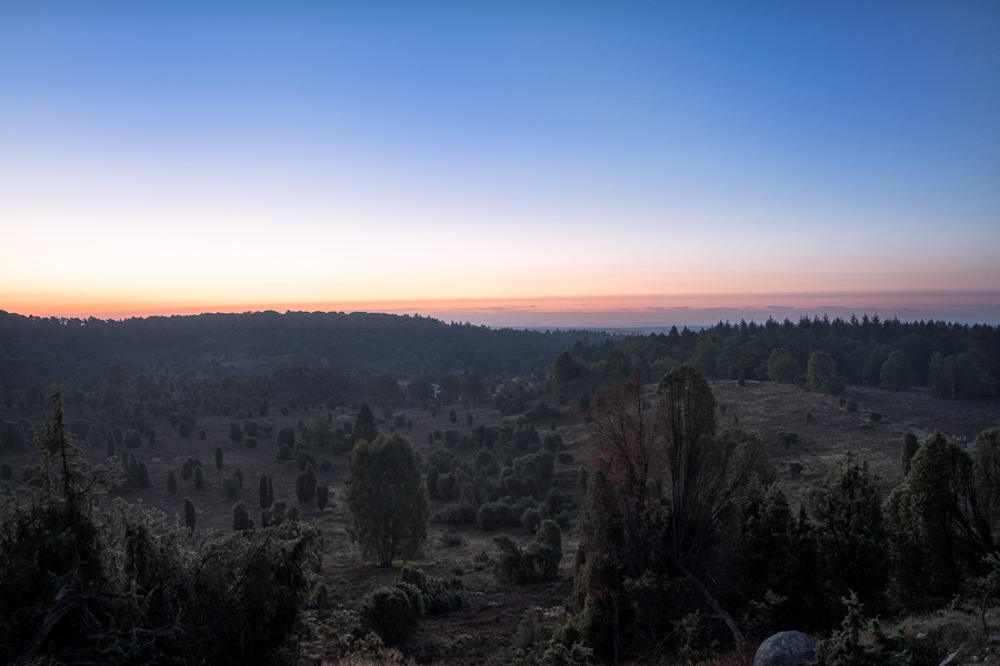 Sonnenaufgang am Totengrund in der Lüneburger Heide X2178943-Bearbeitet.jpg