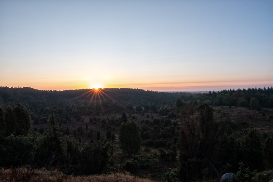 Sonnenaufgang am Totengrund in der Lüneburger Heide X2178988-Bearbeitet.jpg