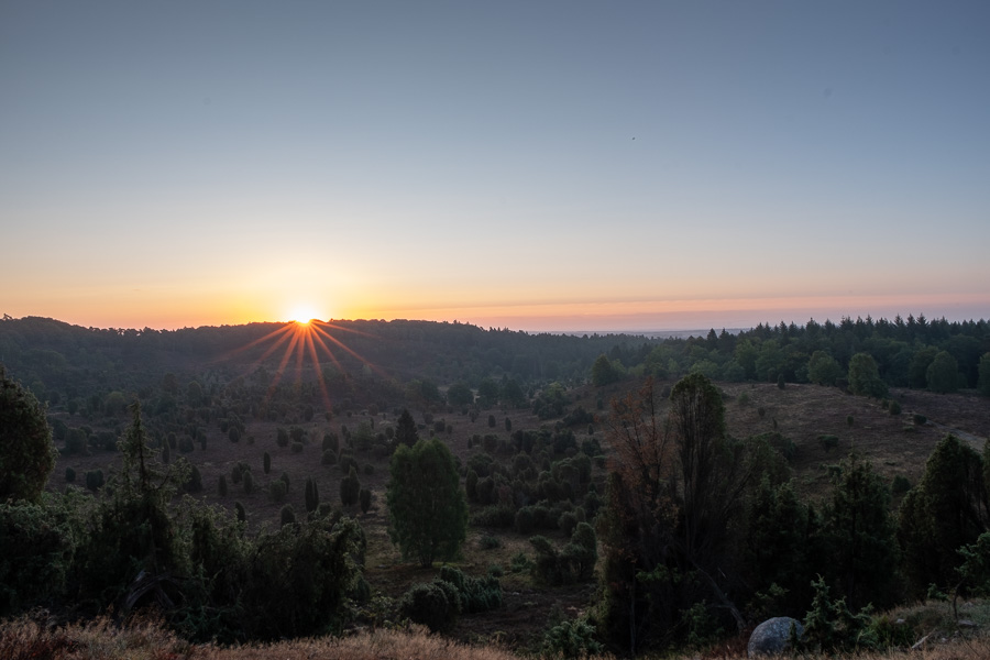 Sonnenaufgang am Totengrund in der Lüneburger Heide X2178989.jpg